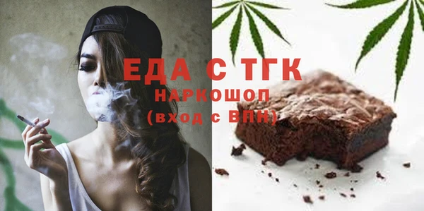 индика Арсеньев