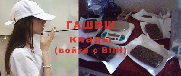 индика Арсеньев