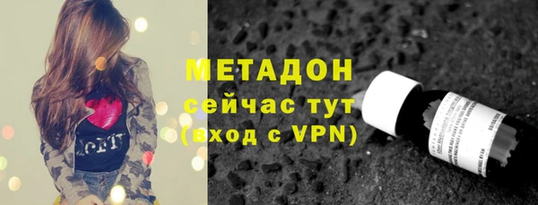 индика Арсеньев