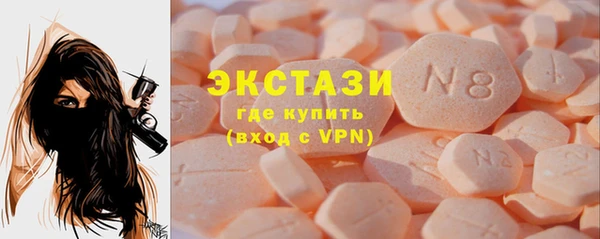 индика Арсеньев