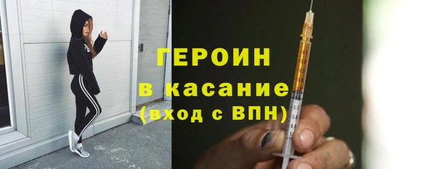 индика Арсеньев