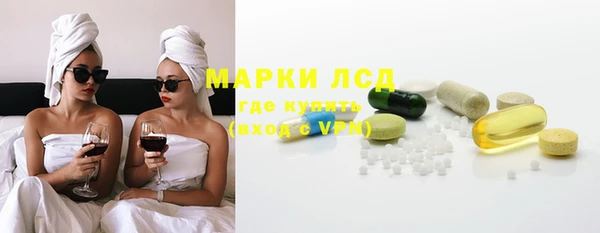 индика Арсеньев
