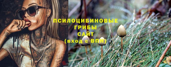 индика Арсеньев