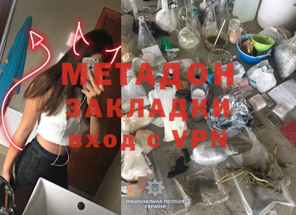 индика Арсеньев