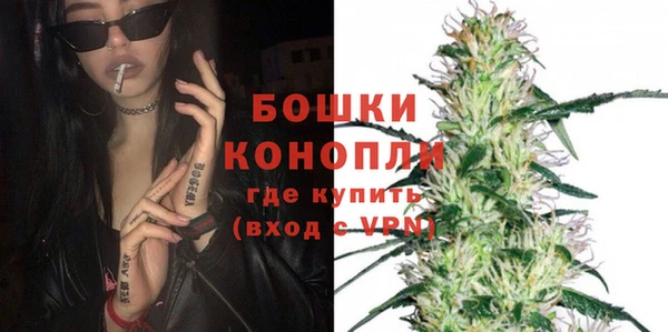 прущие грибы Армянск