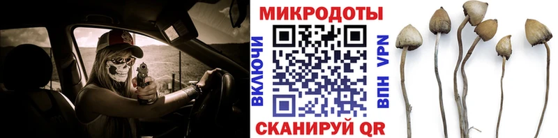 Псилоцибиновые грибы MAGIC MUSHROOMS  Юрьевец 